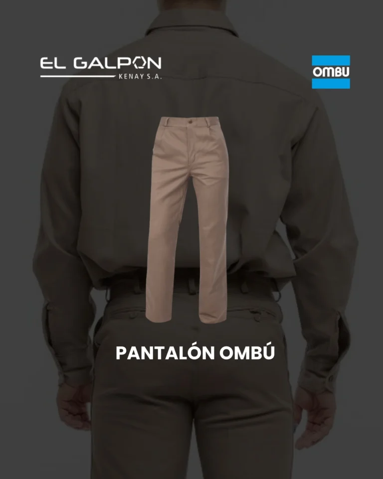 Instagram post from elgalpon.corrientes. This post is in position 2.