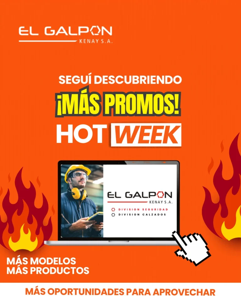 Instagram post from elgalpon.corrientes. This post is in position 5.